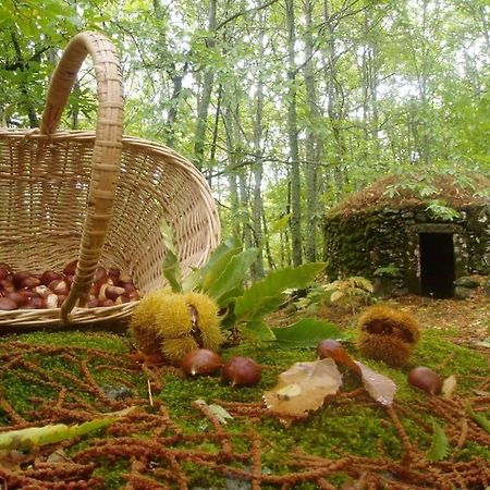 Casa Rural Margarita I Montanchez Luaran gambar